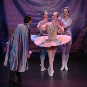 balerina u roze sa Don Kihotom