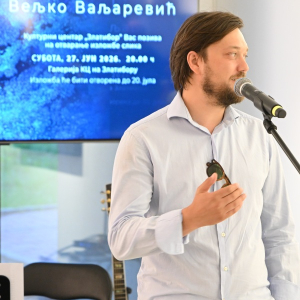 Вељко Ваљаревић, аутор