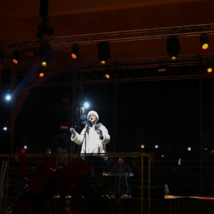 Концерт Бранке Зечевић